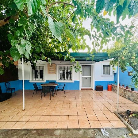 Estudio Adosado Acogedor Con Jardin, Barbacoa Y Parking Privado Alicante Eksteriør bilde