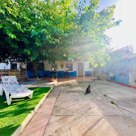 Estudio Adosado Acogedor Con Jardin, Barbacoa Y Parking Privado Alicante Eksteriør bilde