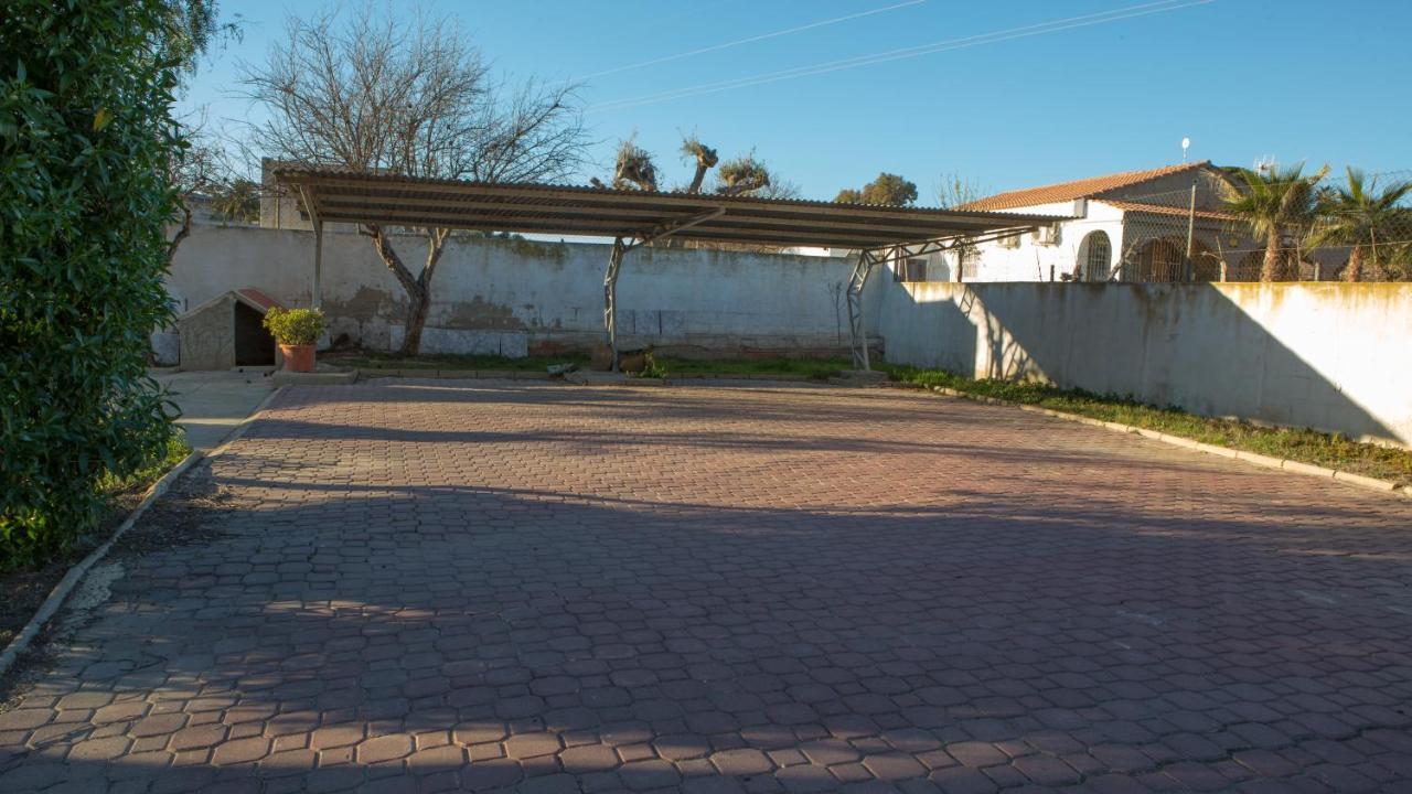 Estudio Adosado Acogedor Con Jardin, Barbacoa Y Parking Privado Alicante Eksteriør bilde