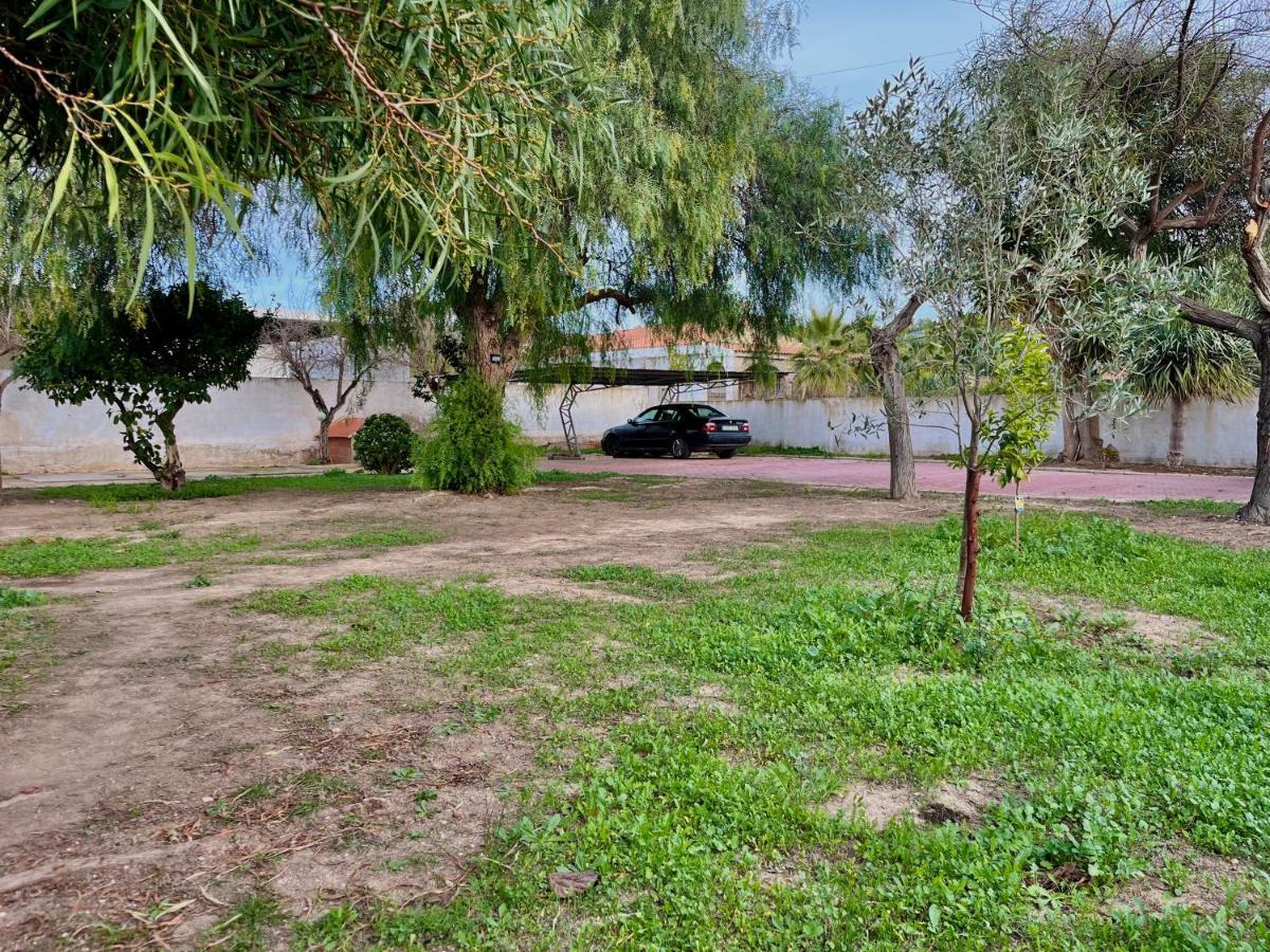 Estudio Adosado Acogedor Con Jardin, Barbacoa Y Parking Privado Alicante Eksteriør bilde